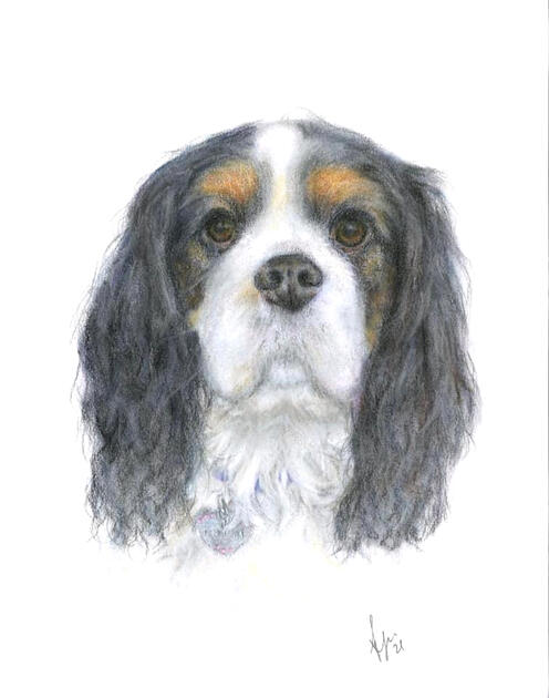 Commission, Pastel on 11x14" Pastelmat 2021Untitled