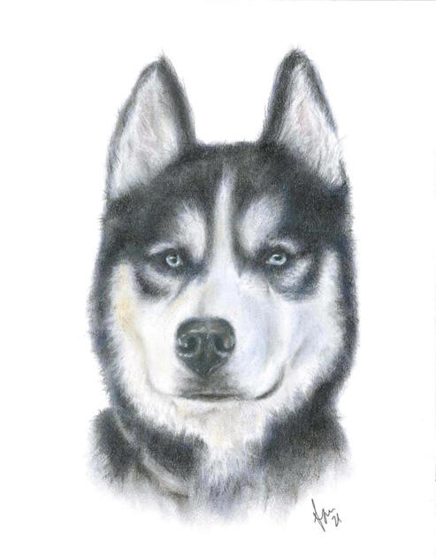 Commission, Pastel on 11x14" Pastelmat 2021