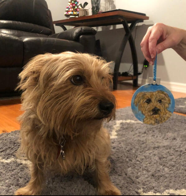 Customer Photo, Acrylic on wood ornament