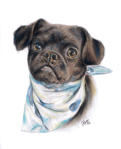 Commission, Pastel on 11x14" Pastelmat 2020